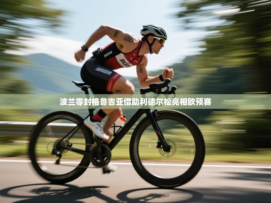 波兰零封格鲁吉亚借助利德尔松亮相欧预赛  第2张