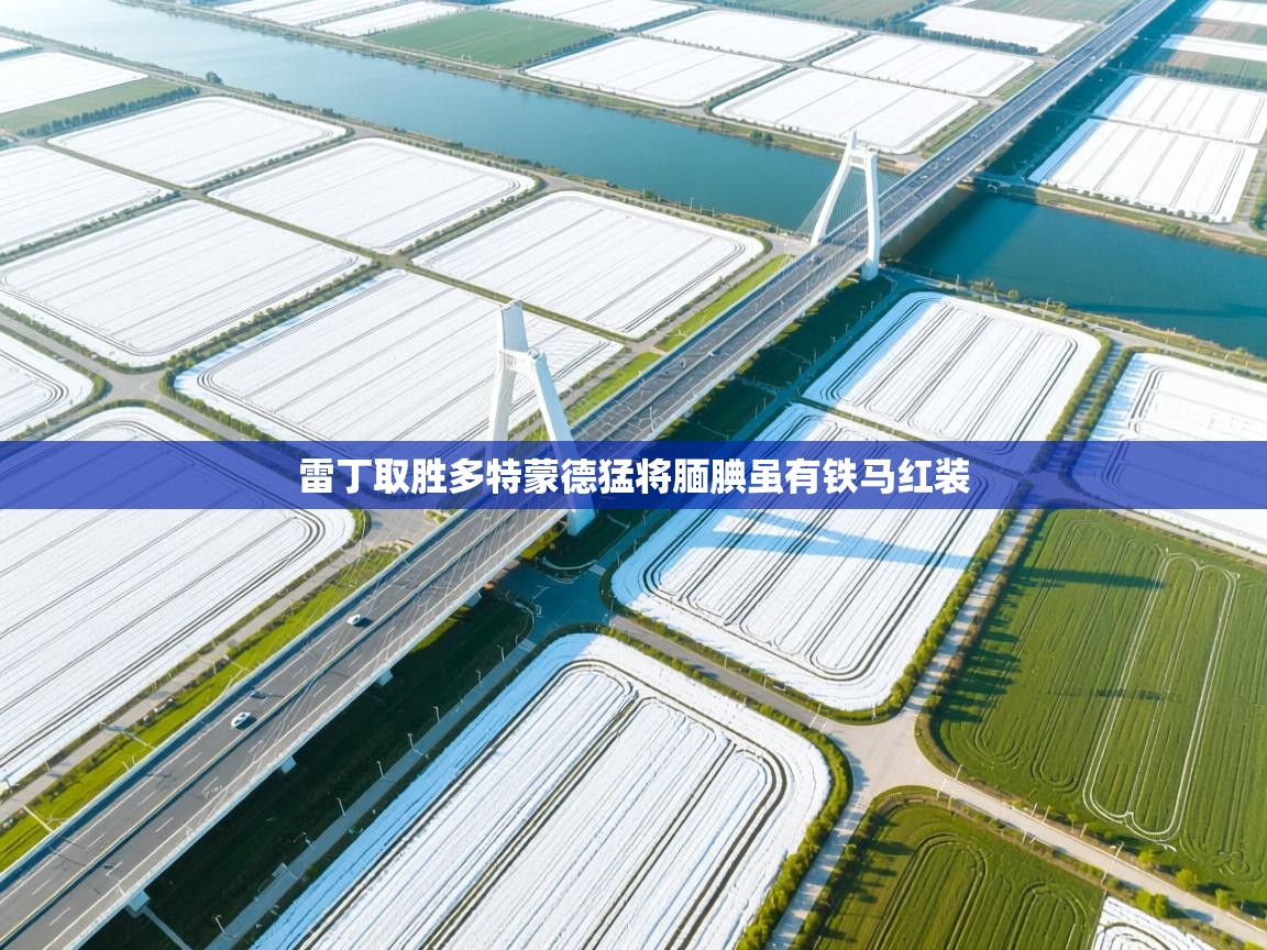 雷丁取胜多特蒙德猛将腼腆虽有铁马红装 第2张