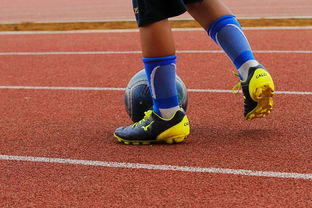 应用宝星空弈赛官网-阿尔艾因核心球员体能管理，世俱杯冲刺关键因素