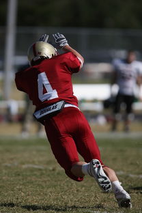 星空体育网站-群星荟萃球队轮番上场，争夺宝座如火如荼，群星荟萃怎么读